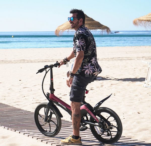 Ebike E Urban 790 Red 2