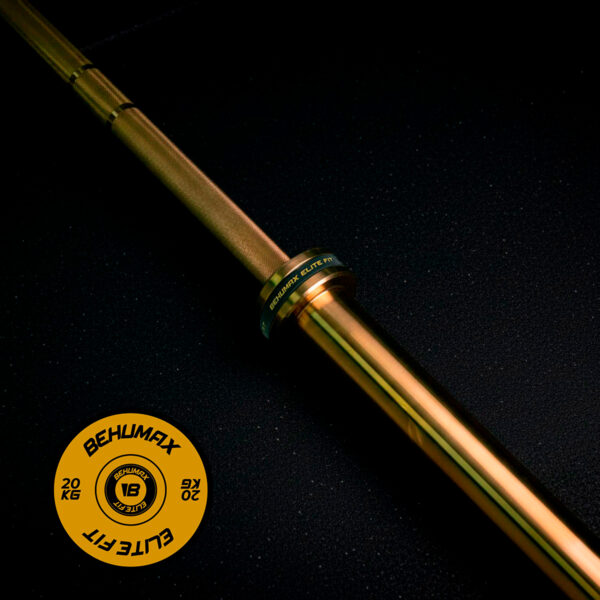 Barra_Golden_Dorada_20KG_SELLO