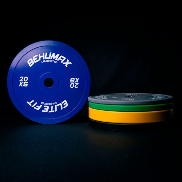 Disco_Calibrated_20kg